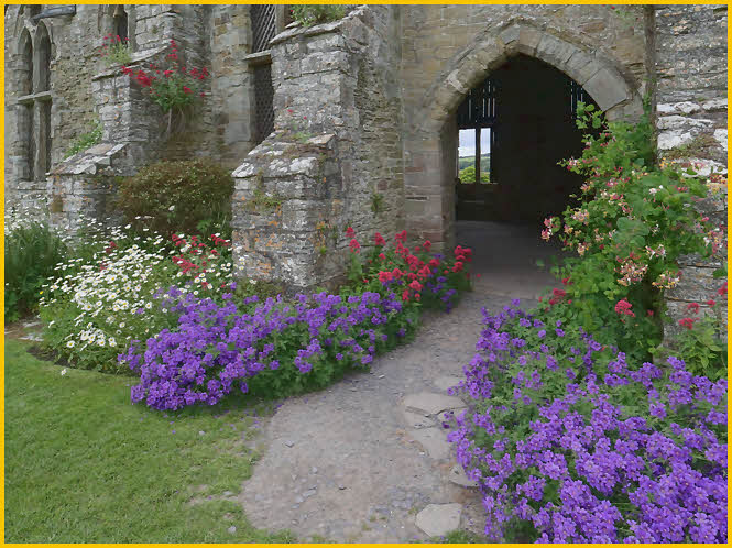 Flowers at Entrance