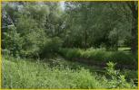 Stream and Bridge
