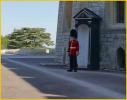 Guard on Duty
