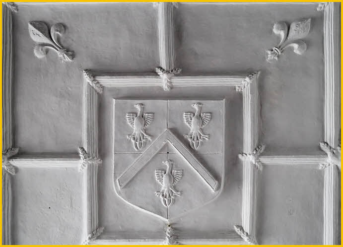 Ceiling Plasterwork