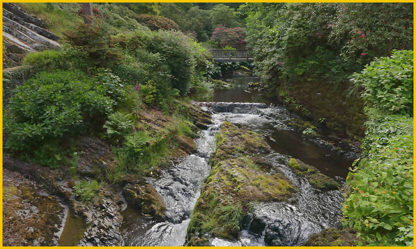Stream and Bridge