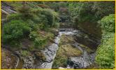 Stream and Bridge