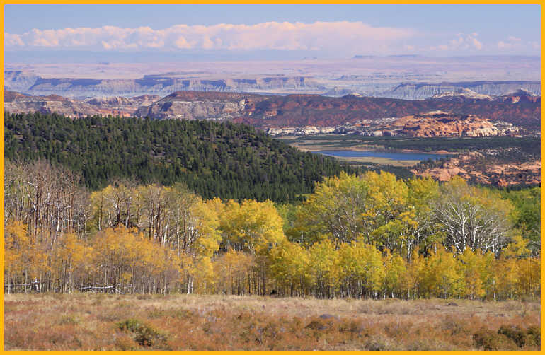 Aspens and Circle Cliffs