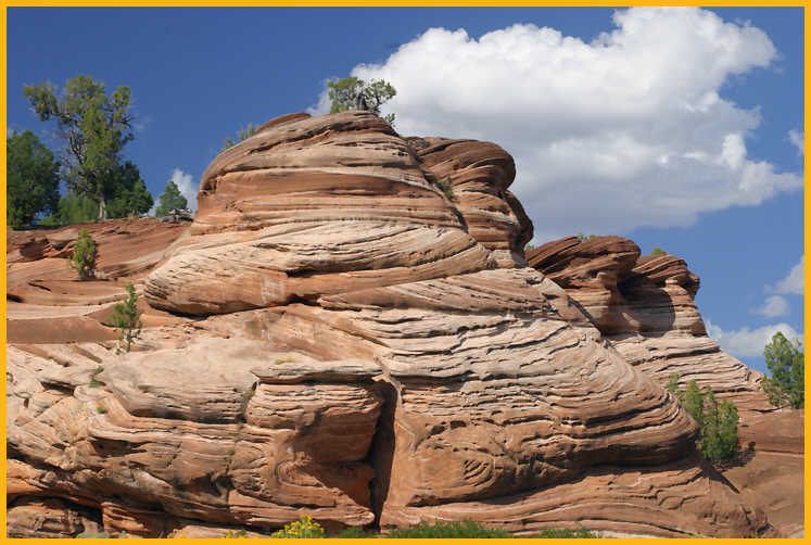 Red Rock Patterns