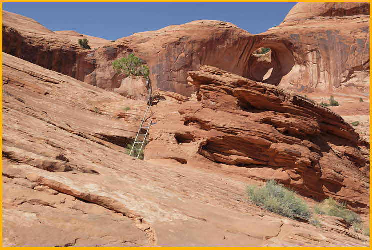 Ladder on Trail