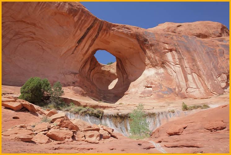 Bow Tie Arch