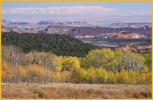 Aspens and Circle Cliffs