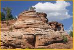 Red Rock Patterns