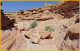 Little Wild Horse Canyon Trail