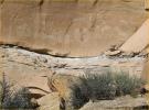 Ute Petroglyphs