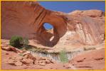 Bow Tie Arch